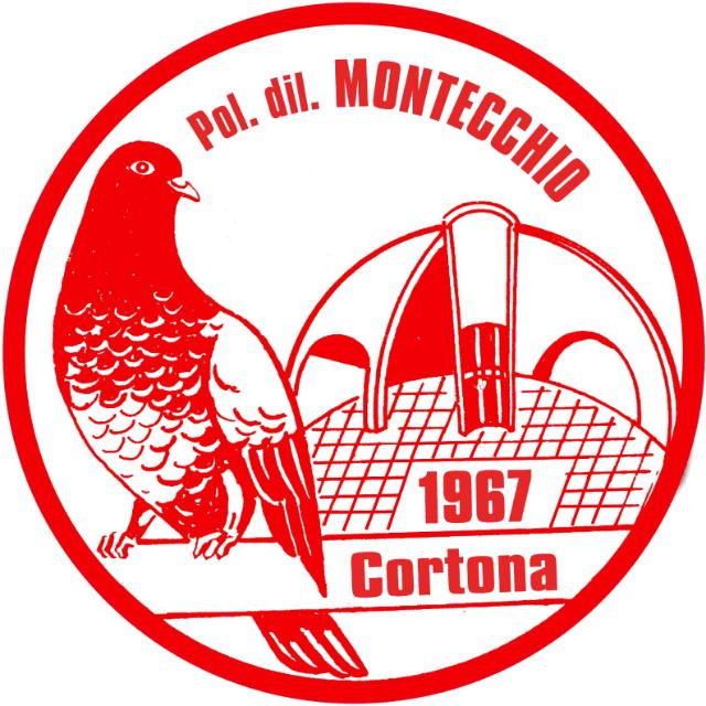 POLISPORTIVA DILETTANTISTICA MONTECCHIO